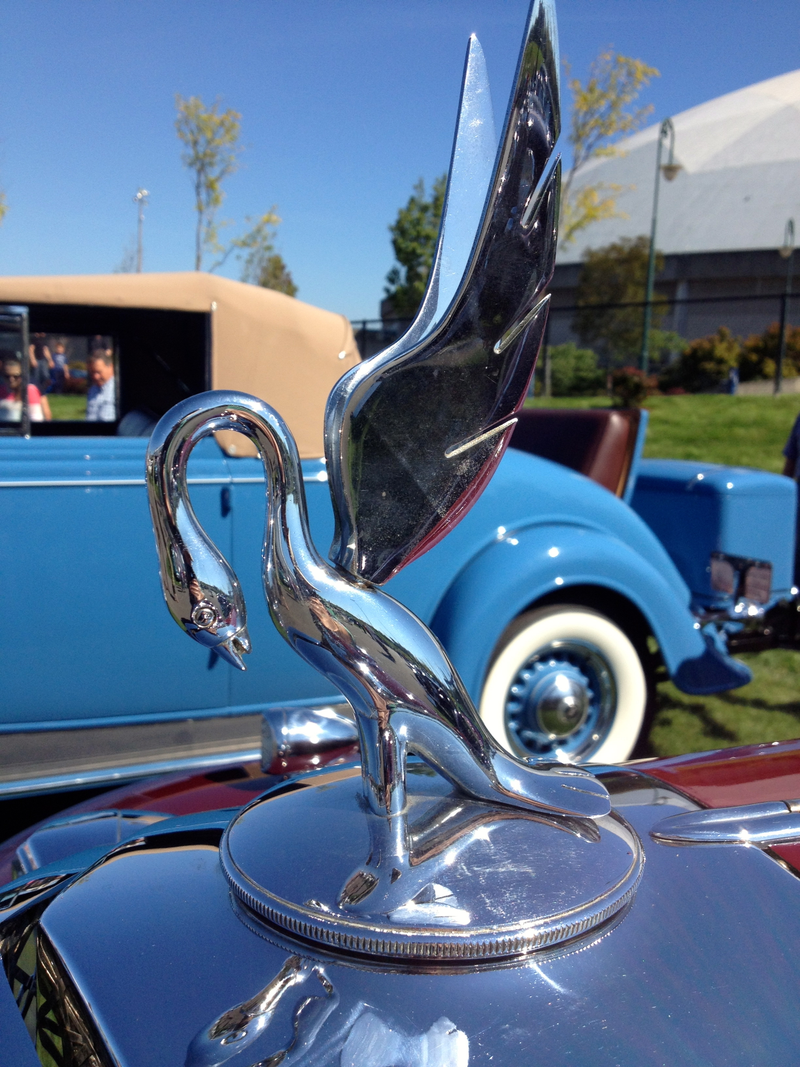 Illustration for article titled Detail Photo Dump from Kirkland Concours!